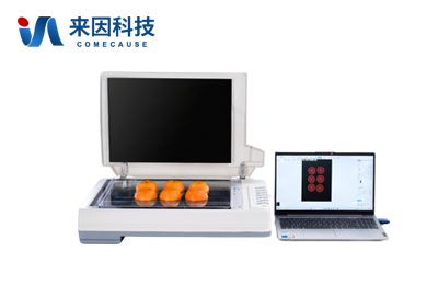 瓜果剖切面瓤色图像分析仪IN-GM